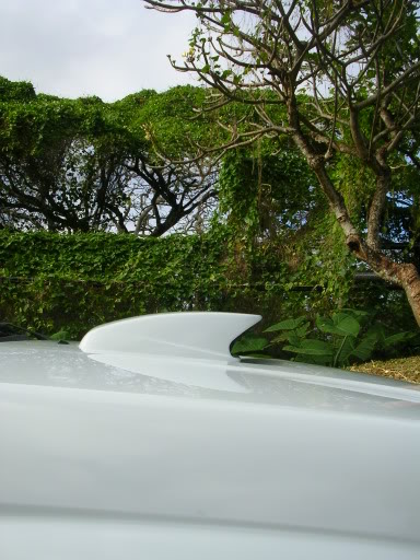 Name:  newpics017.jpg
Views: 12
Size:  57.4 KB