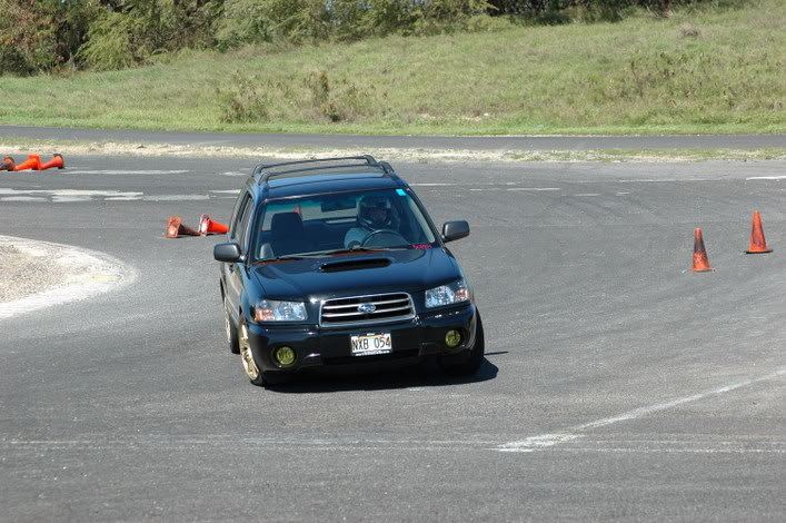 Name:  DSC_2163.jpg
Views: 11
Size:  103.9 KB