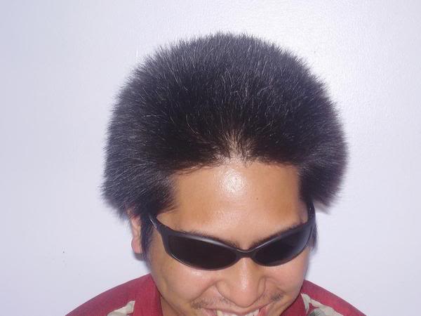 Name:  130117326_l.jpg
Views: 31
Size:  25.1 KB