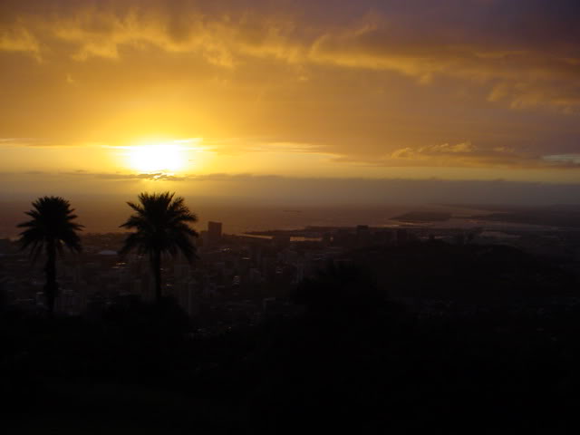Name:  DSC01648.jpg
Views: 15
Size:  18.6 KB
