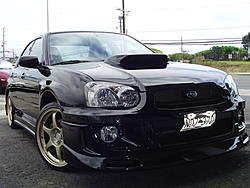 RAGEWRX's nose-rexstangfront3.jpg