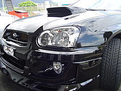 RAGEWRX's nose-rexstangfront2.jpg