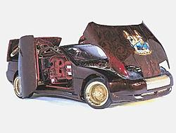 BARF.  Mexican Rice?-mad300zx.jpg