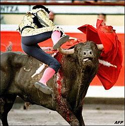 Bullfighter looks 'down'-spainotaur.jpg