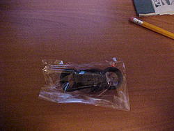 Where Can I Get These?-mvc-010s.jpg