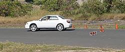 Member's Gallery-adobo.jpg