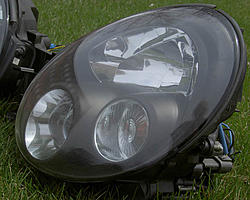What would you do?-lights-005.jpg