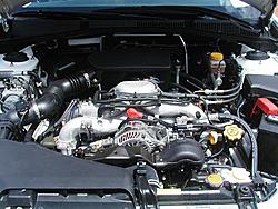 Teaser Pics- 05 models-outbacktwo.jpg