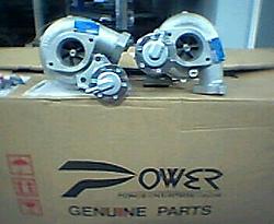 wOOt for Sean!-tt-kit.jpg