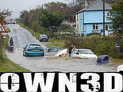 This would make a grown man cry...-shark.jpg