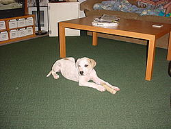 4EAT to 5MT?-dsc00540.jpg