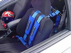 Things to note!-smallharness.jpg