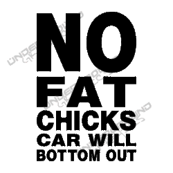Found this on someones MySpace-no-fat-chicks.gif