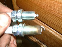 Spark Plugs-plugs-medium-.jpg