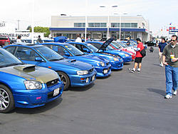 Back from the land of Disney-d_spotted.jpg