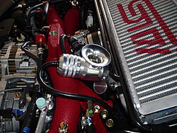 Got my noise maker-rfl4.jpg