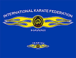 Initial decision about the shirts...-karate-final-flame.jpg