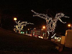 Christmas Lights @ my house-citylights1.jpg
