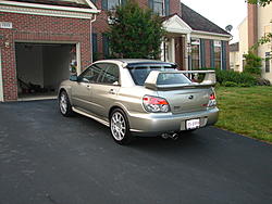 Alive Again!!!-dsc00754.jpg