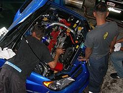 Its Alive!!!-dscn2438-794484.jpg