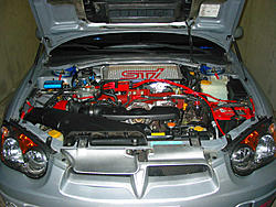Some Underhood Pics and Cobb/APS Combo...-1.jpg