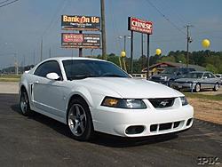 So, I'm here at work on a Saturday...-cobra.jpg