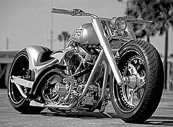 If you didn't want a Hog before...-bild4.jpg