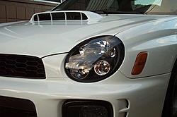Uh-Oh...  Erin commandeers the REX!-newwrxpix-012.jpg