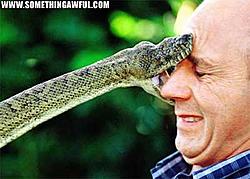 Funny or 0wn3d Pictures Thread-narcus.jpg