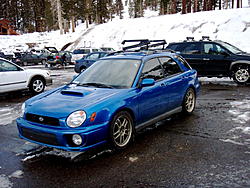 soooo many subys!!!!-blue-bug-eye.jpg