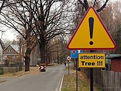Weird signs!!-attention-tree.jpg