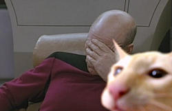 **Beer Drinkers Thread**-picardcat.jpg