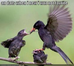 The "I'm at work" thread..-favorite.bmp