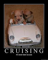 The "I'm at work" thread..-image016.jpg