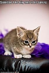 The "I'm at work" thread..-untitled.jpg