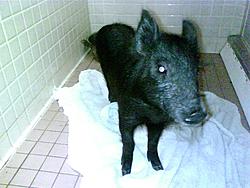 The "I'm at work" thread..-img00057.jpg