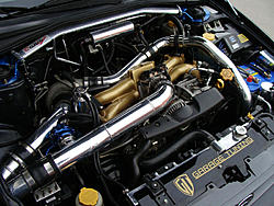 Official HIIC Member Picture Thread-dsc05624%5B1%5D.jpg