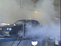 BADDEST dyno run I've seen in a while...-untitled-1.jpg