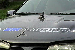 HOLY Clutch Explosion, Batman!-1.jpg