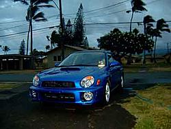 Member's Gallery-iris-001-copy.jpg