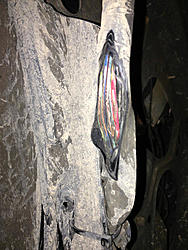 ABS Problems-image-3359673967.jpg