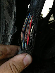 ABS Problems-image-1145653444.jpg