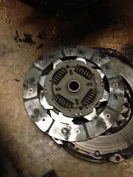 Ford Focus Clutch Disaster-image-3326126399.jpg