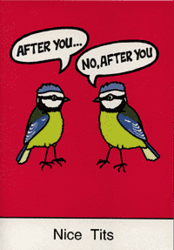 Nice T!Ts!!!!  (work safe I promise)-nicetits.gif