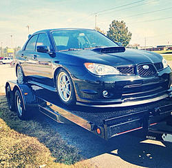 New member-image-3840007687.jpg