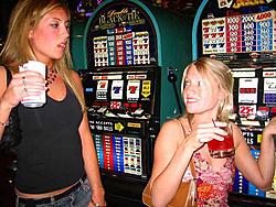 Your picks...-img_3826s.jpg