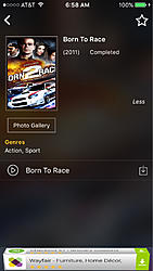 Born to race-image-210555528.jpg