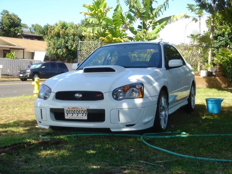 Name:  noplates.jpg
Views: 17
Size:  117.9 KB