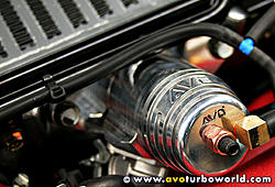 Fs:  Aps Bov-500_gdb_bov001.jpg