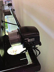 TW: Saltwater Tank and Filter-image-3404292868.jpg